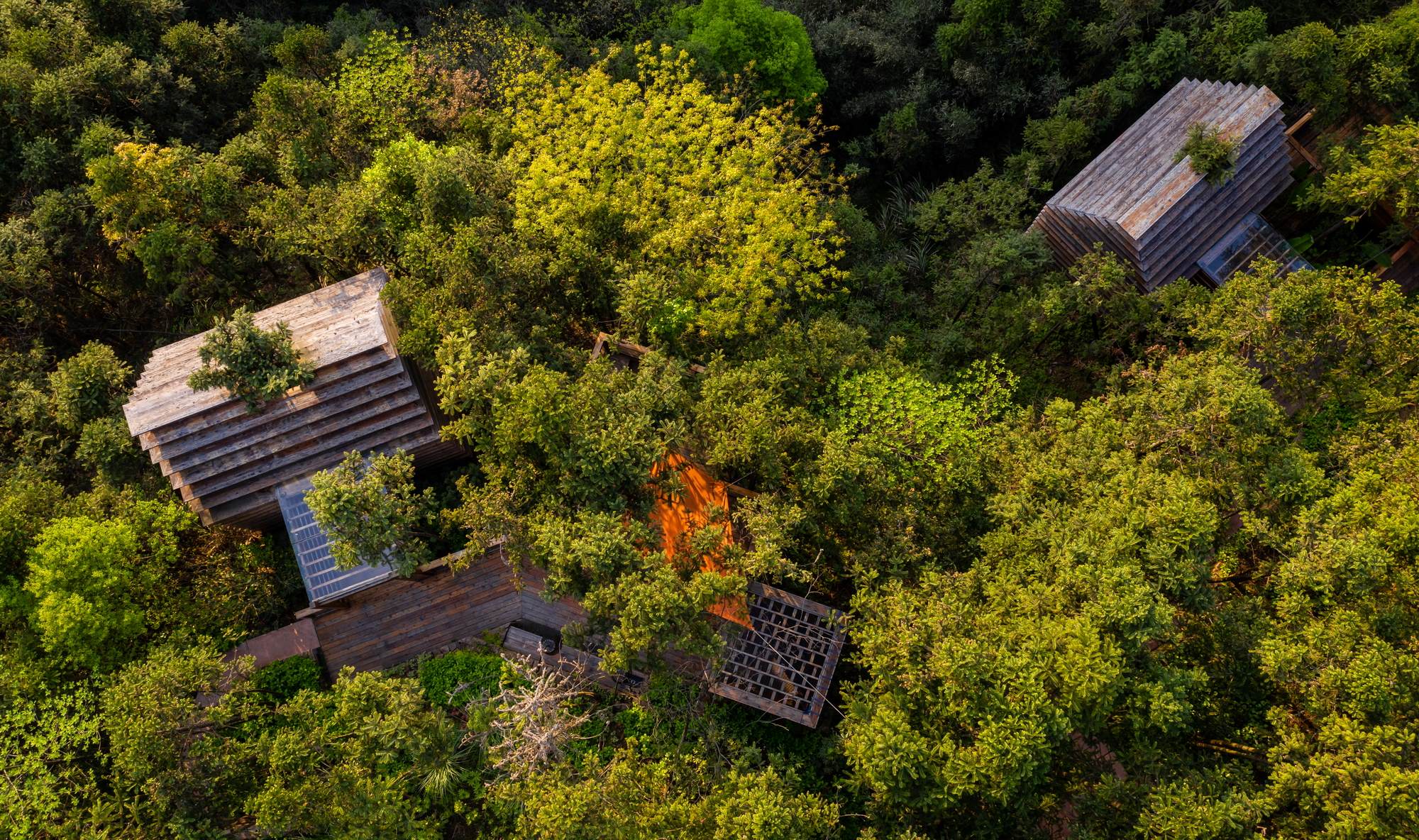 黄山树屋丨中国黄山-13