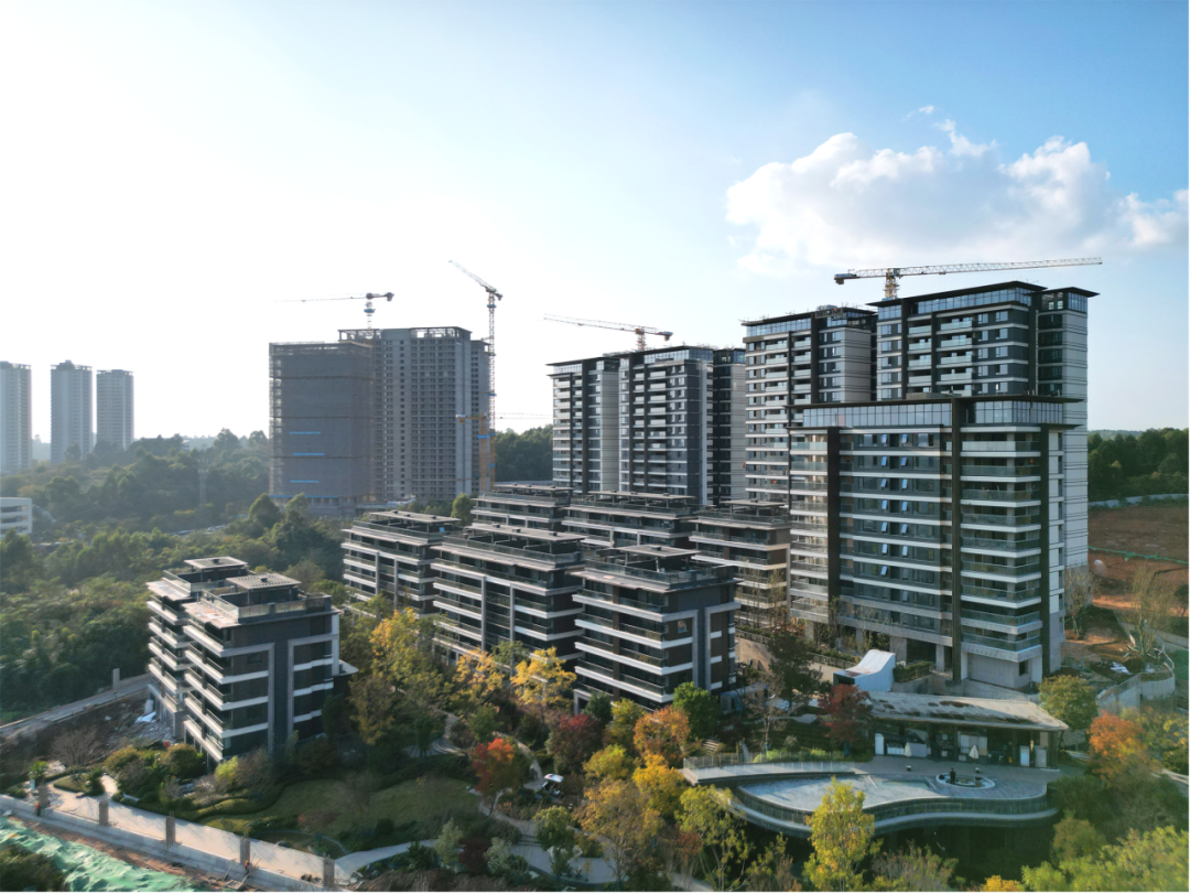 天投·锦悦天成丨中国成都丨中国建筑西南设计研究院有限公司-12