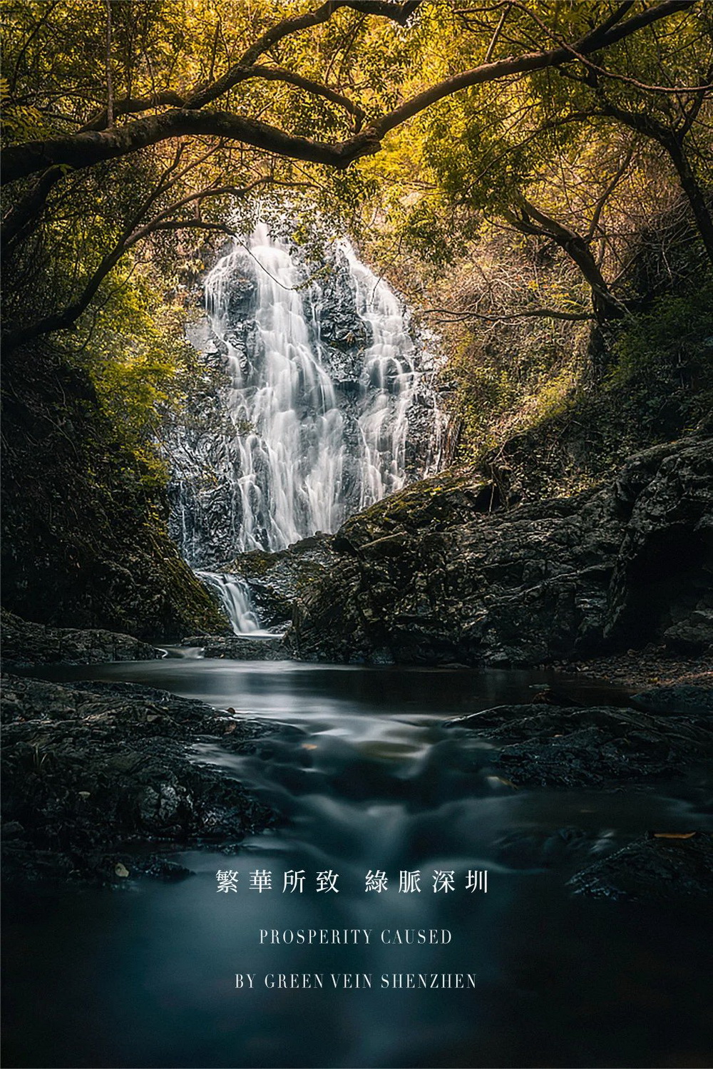 深圳绿城桂语兰庭生活馆丨中国深圳丨矩阵纵横-4