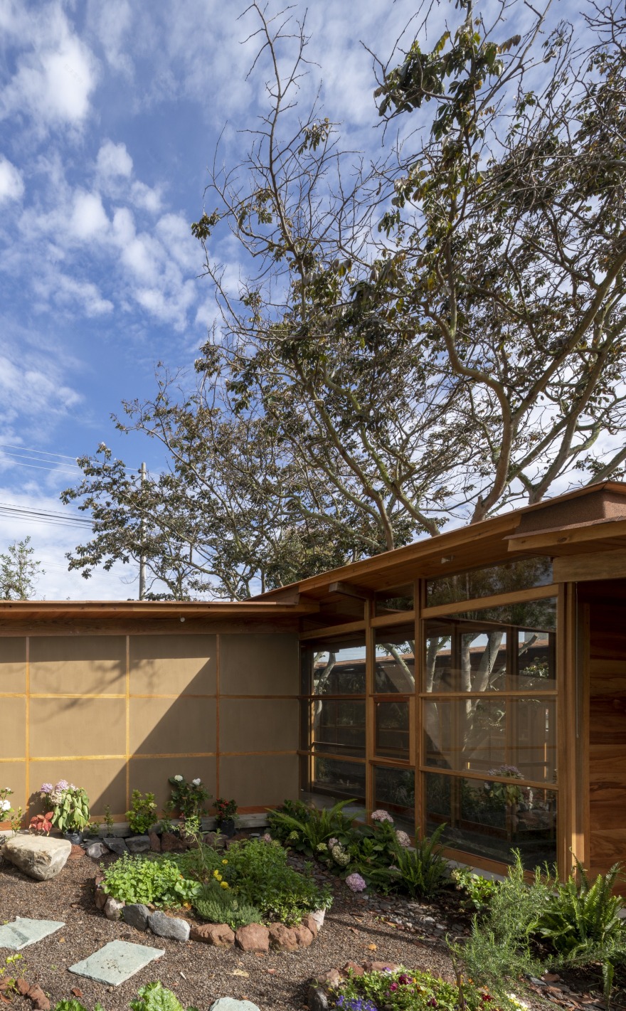 House Among Trees / El Sindicato Arquitectura-49