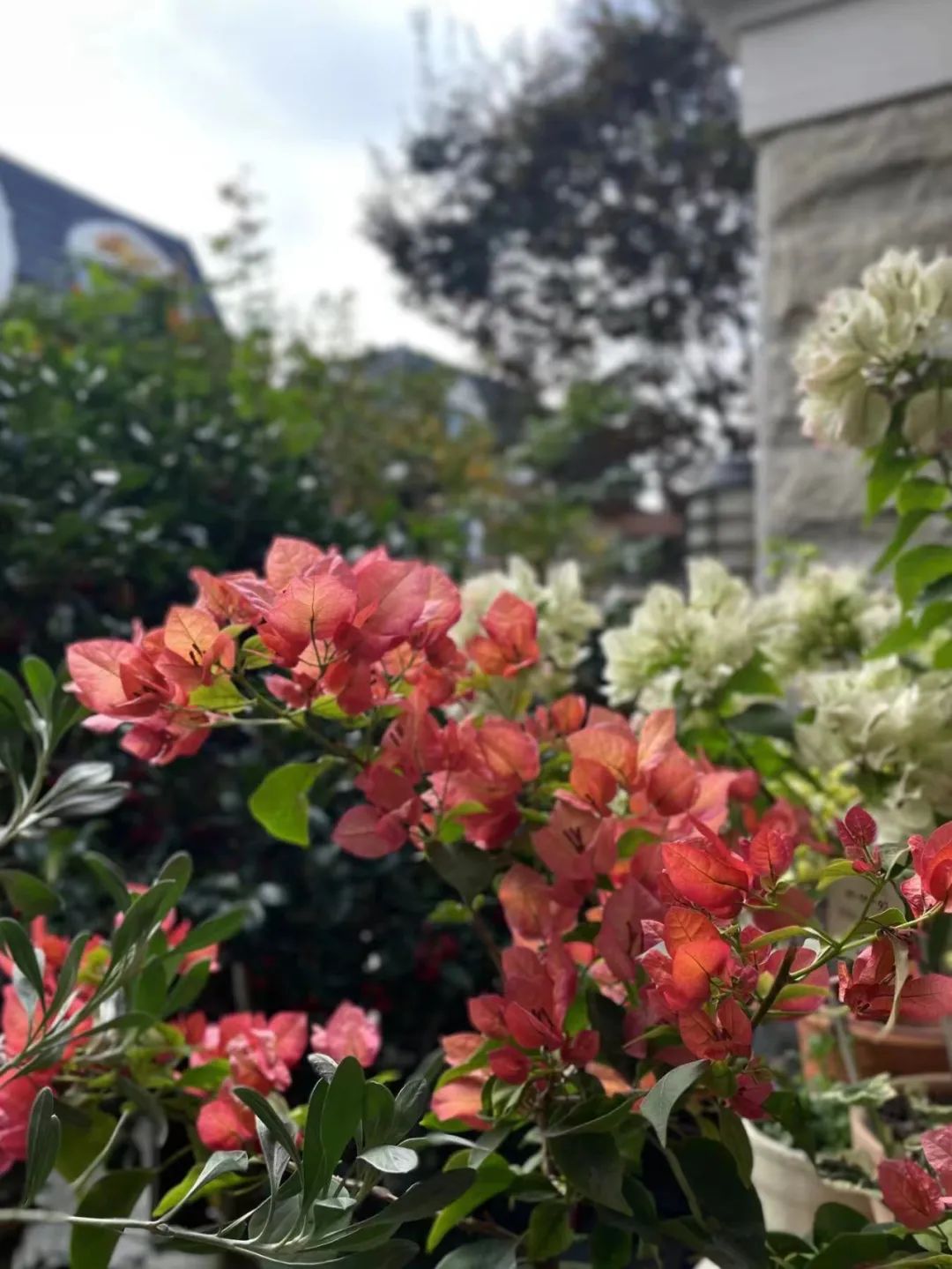 一米花园丨中国上海丨专业设计团队-58