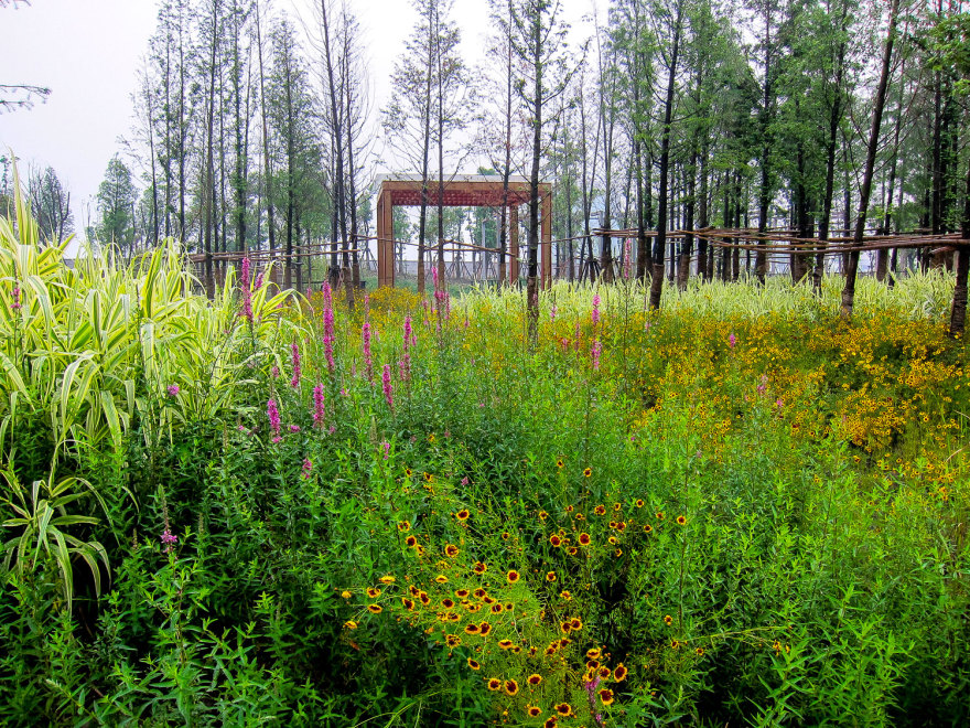 嘉定石冈门塘湿地公园-30