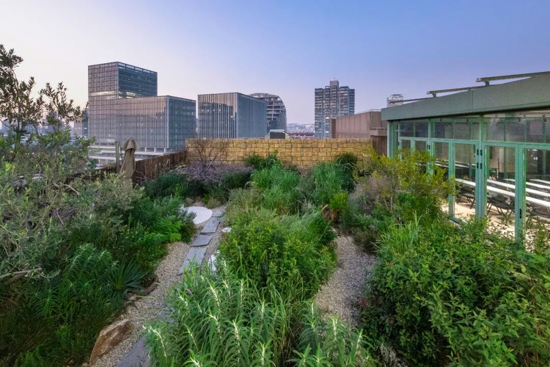 上海Meet·华大科技园办公改造 · 一场自然驱动下的空间共生实践丨中国上海丨予舍予筑-40