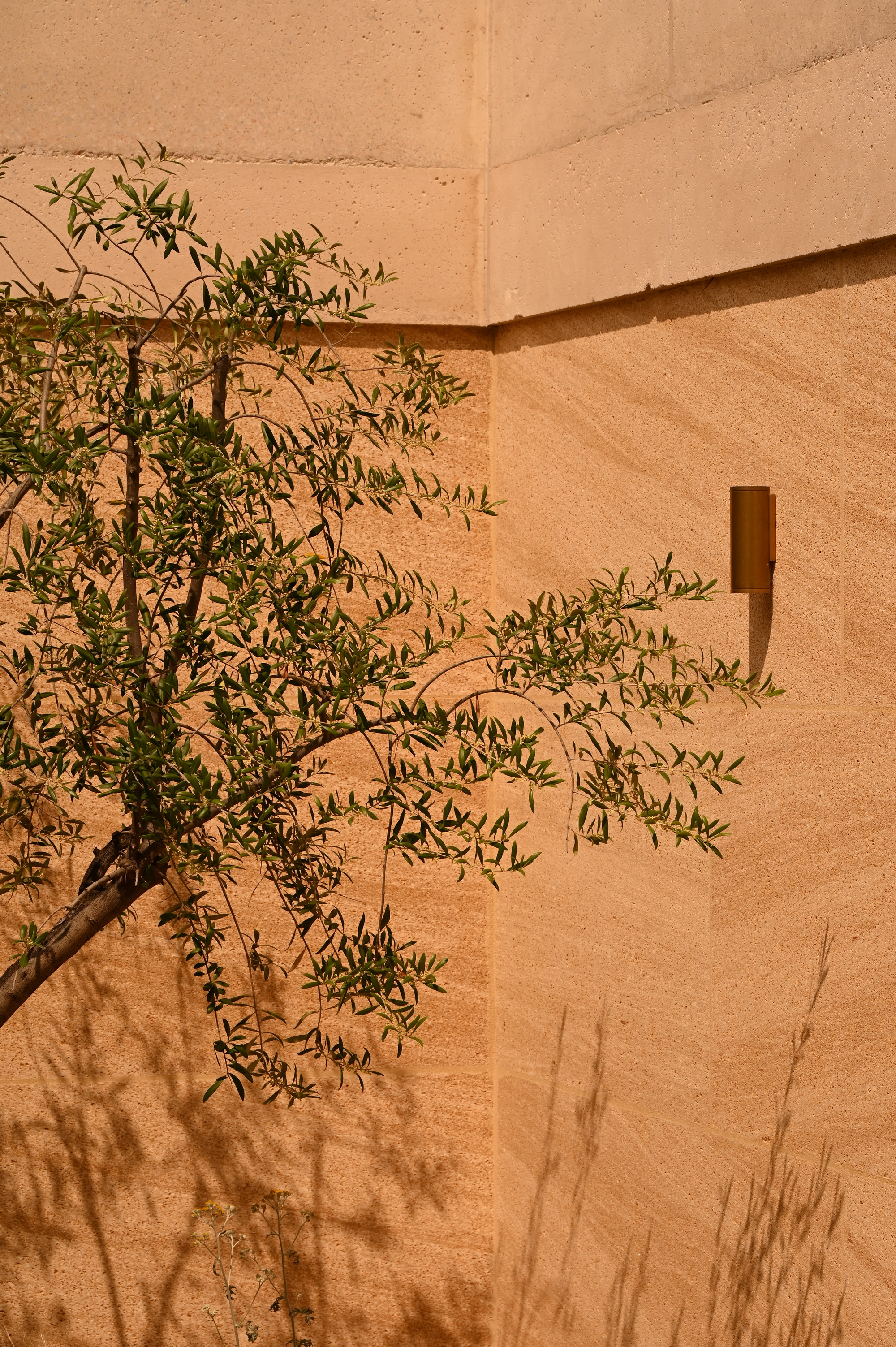 勒克洛别墅丨法国丨Bancaù Architectes-38