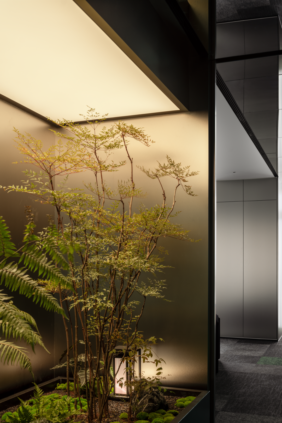 广州简美设计 | 森林苏醒-14