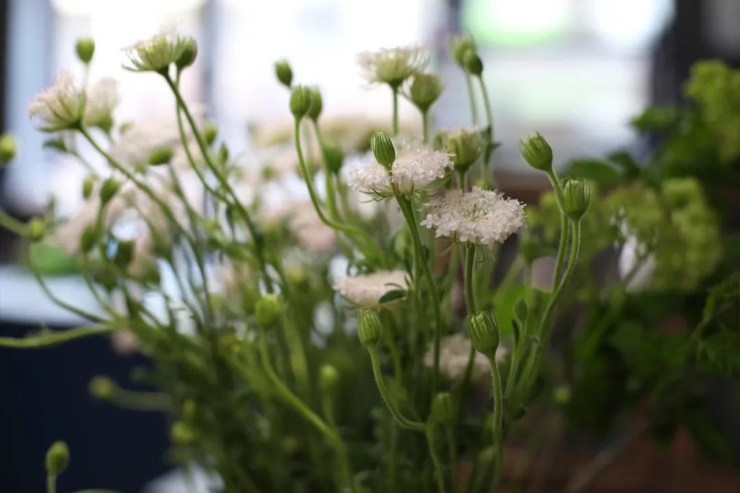 南宁趣玩家族住宅设计丨中国南宁丨柒颜设计-78