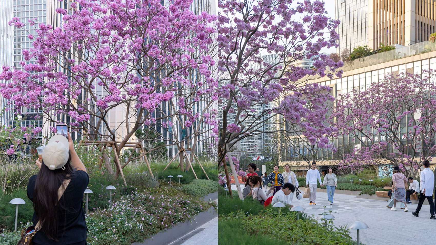 深圳湾万象城二期丨中国深圳丨iPD,grant associates,OVAL等多家-128