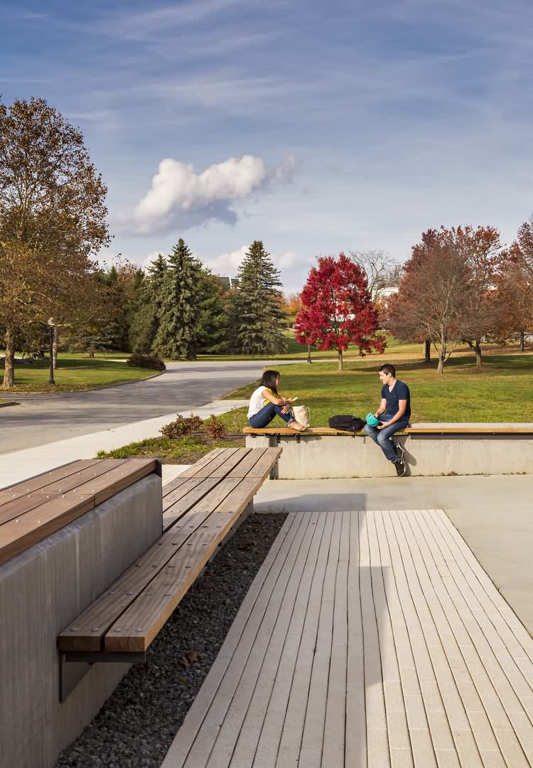 弗吉尼亚理工大学兽医学 virginia tech veterinary medicine by siteworks studio-3