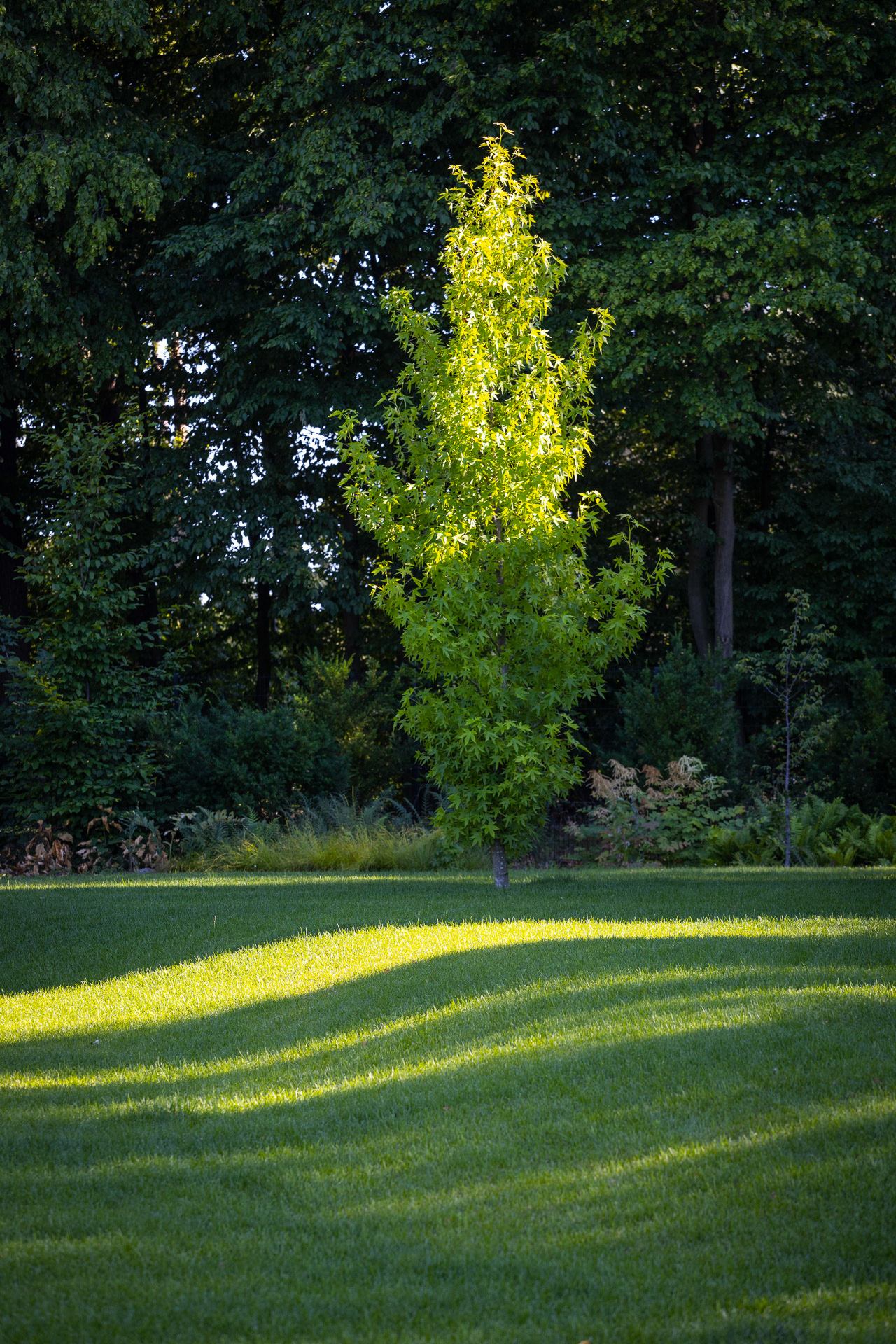 TUREK · ogród z ryską（有风险的花园 · 图雷克）-4