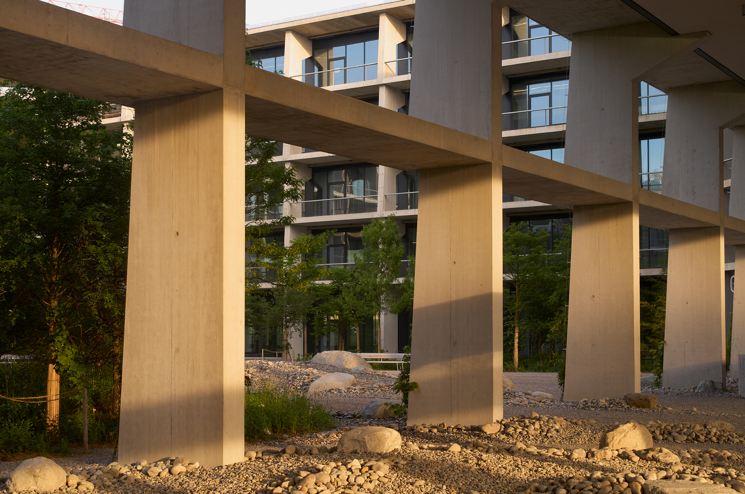 瑞士 SIP 主校区-20