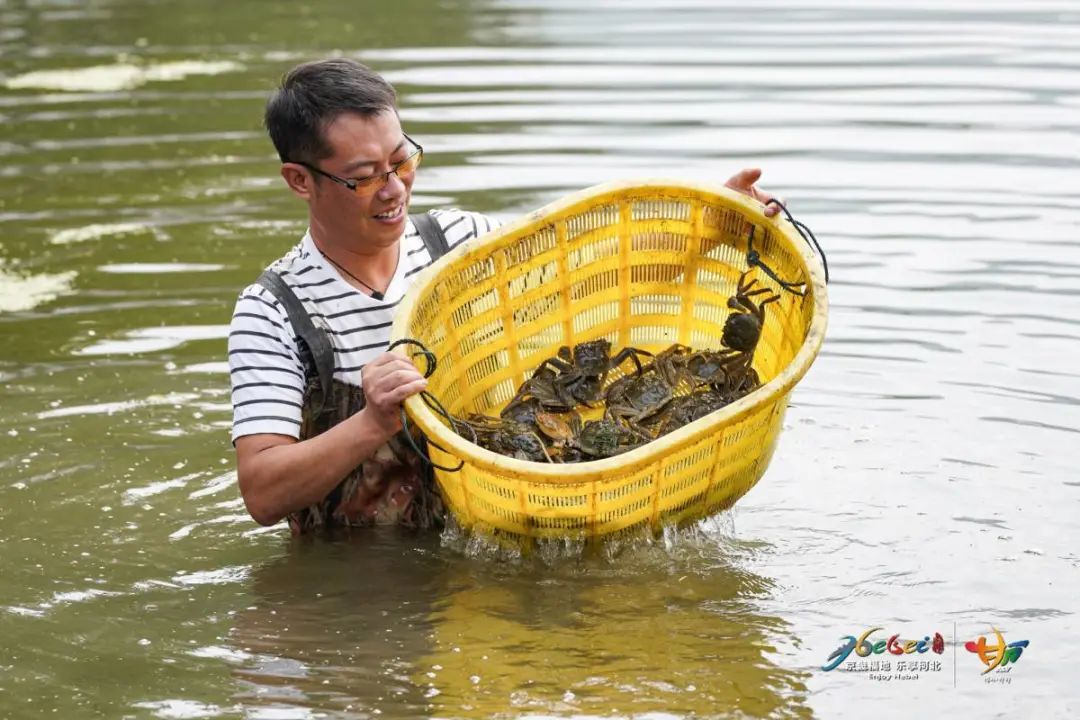 太行红河谷文化旅游经济带特色小镇建设丨城乡与风景园林规划设计研究院-48