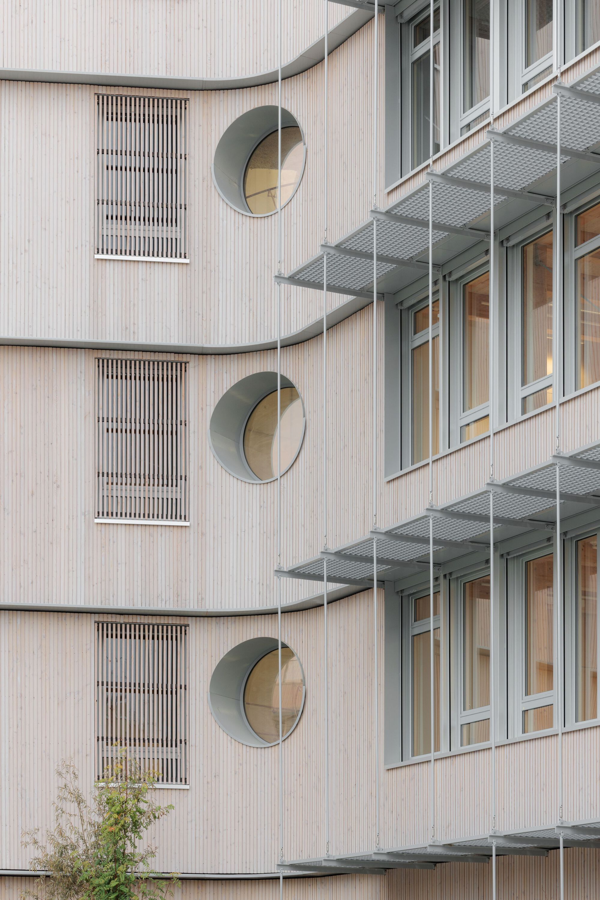 多米尼克·弗雷洛学校集团丨法国丨Tectoniques-51