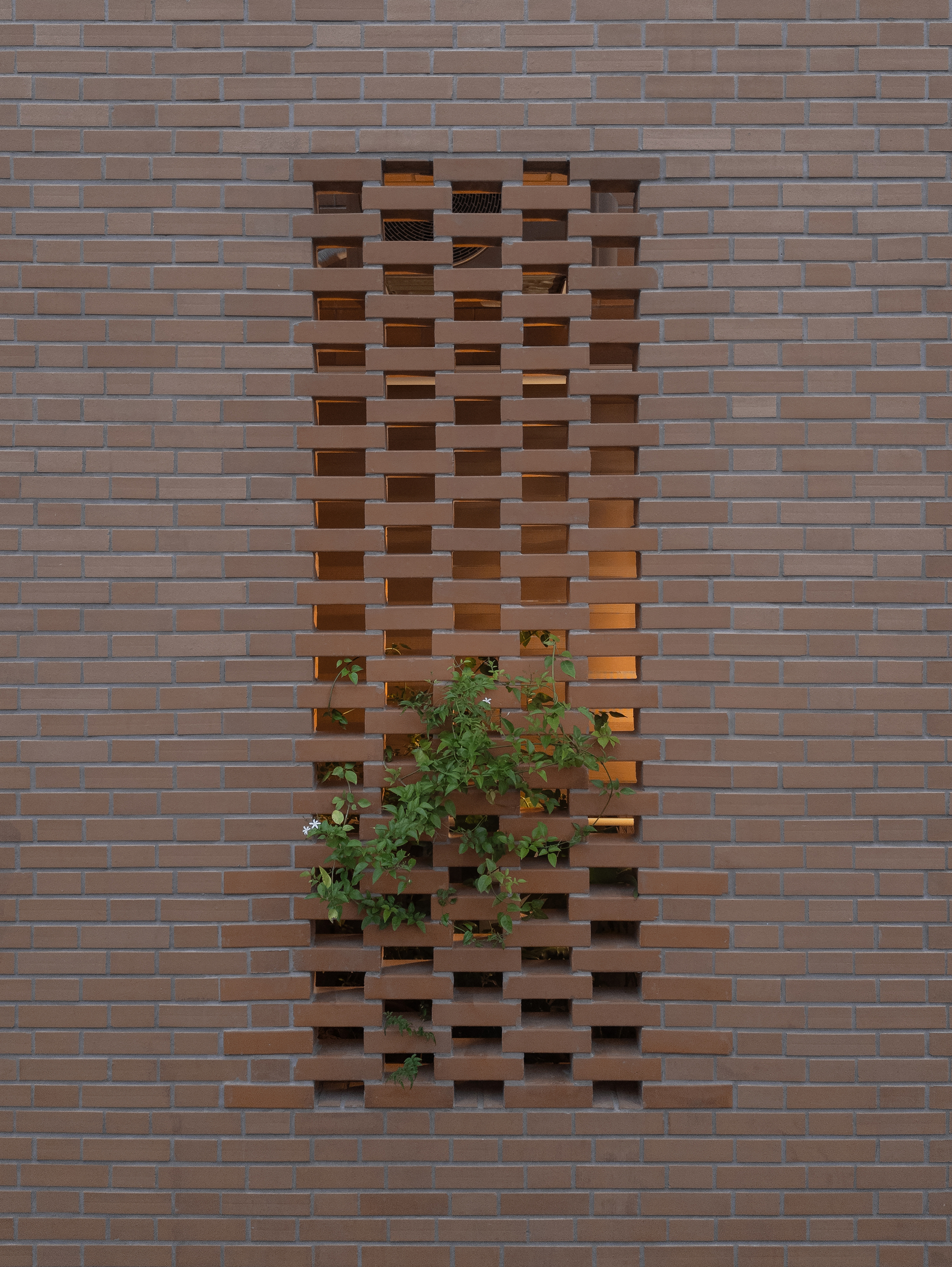托朗住宅丨巴西丨Luana Barichello,Nommo Arquitetos-45