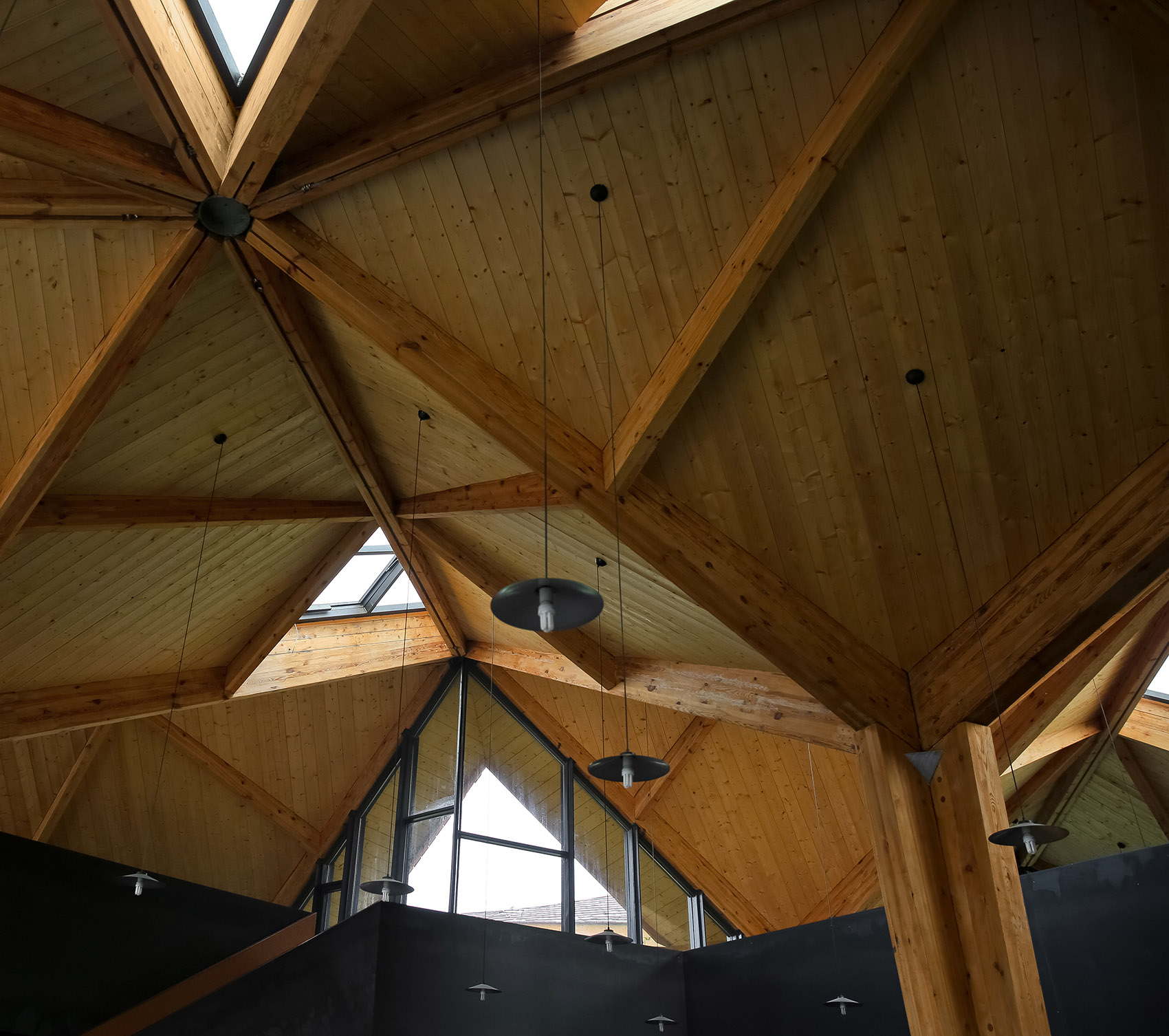 林建筑-与自然树木的共舞 / 迹·建筑事务所(华黎)-98