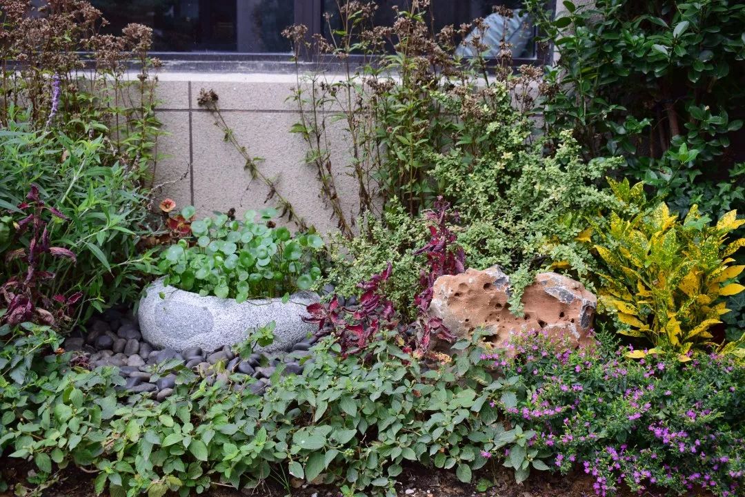 迪赛·东篱——新中式风格的庭院美学-88