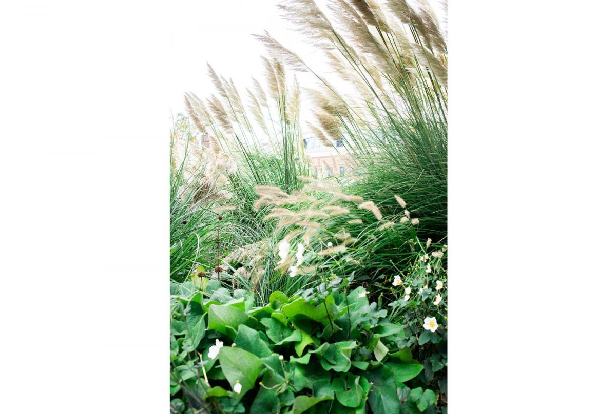 丨荷兰鹿特丹-9