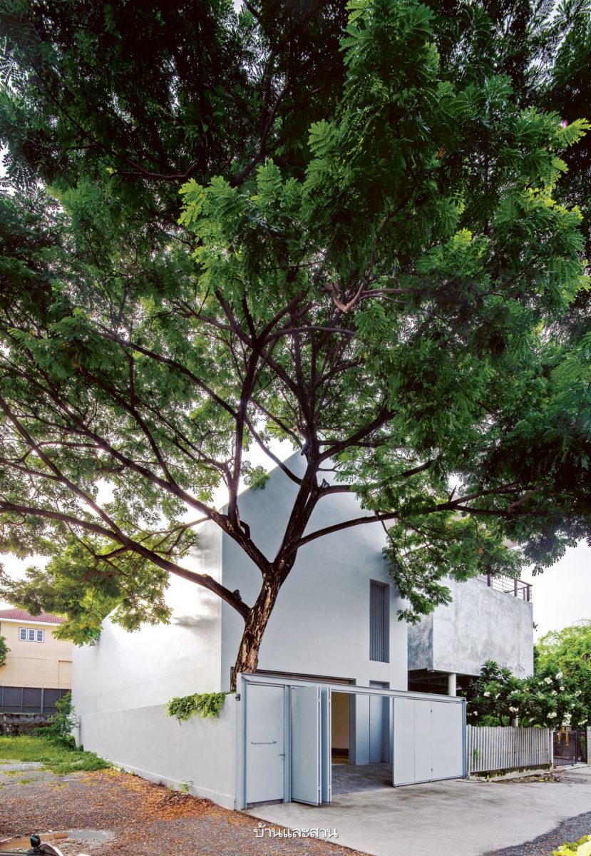 บ้านกล่องหลังคาทรงจั่ว ที่เปิดคอร์ตกลางรับพื้นที่สีเขียว - บ้านและสวน-1