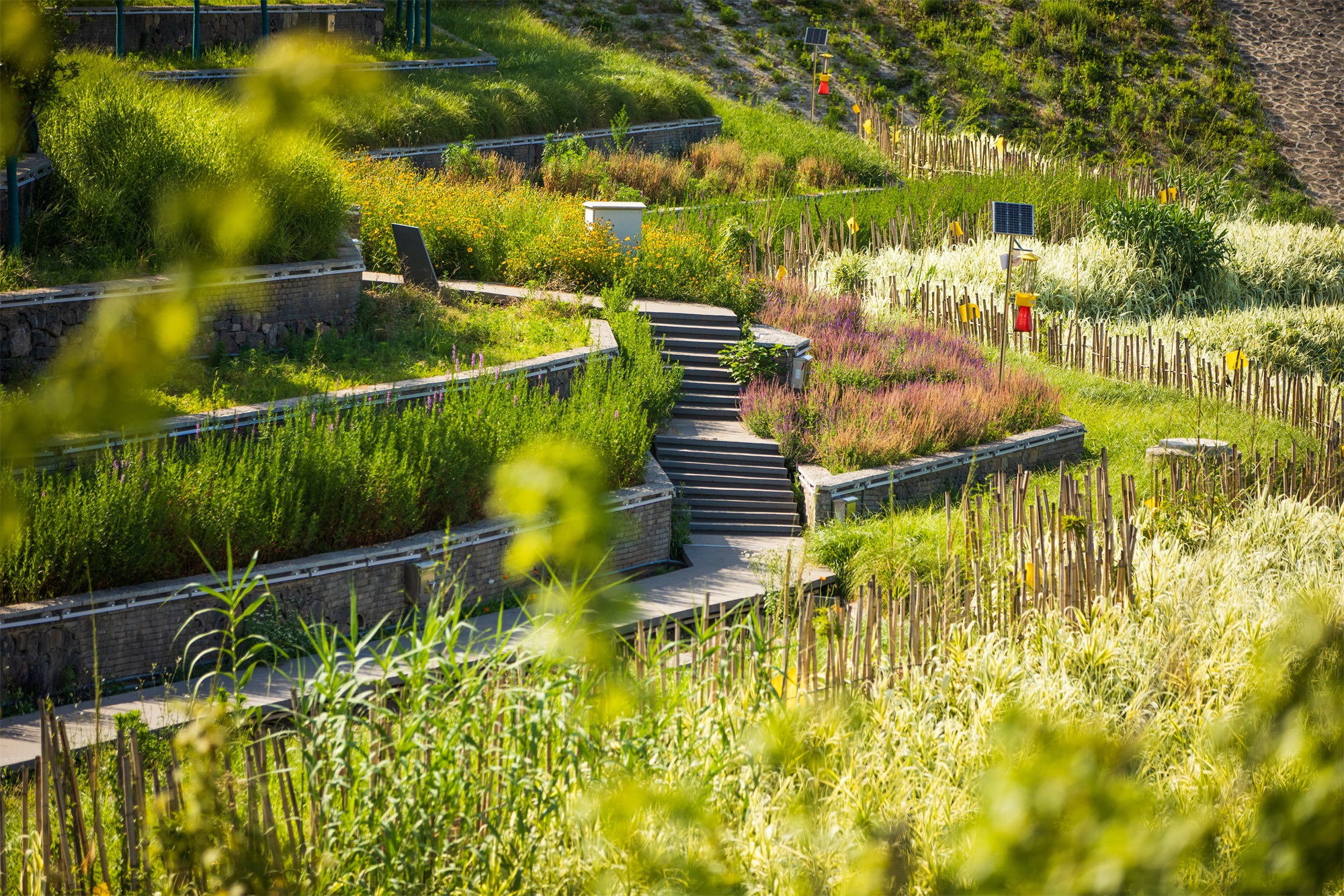 西安雁南公园（二期）丨中国西安丨土人设计（Turenscape）-122