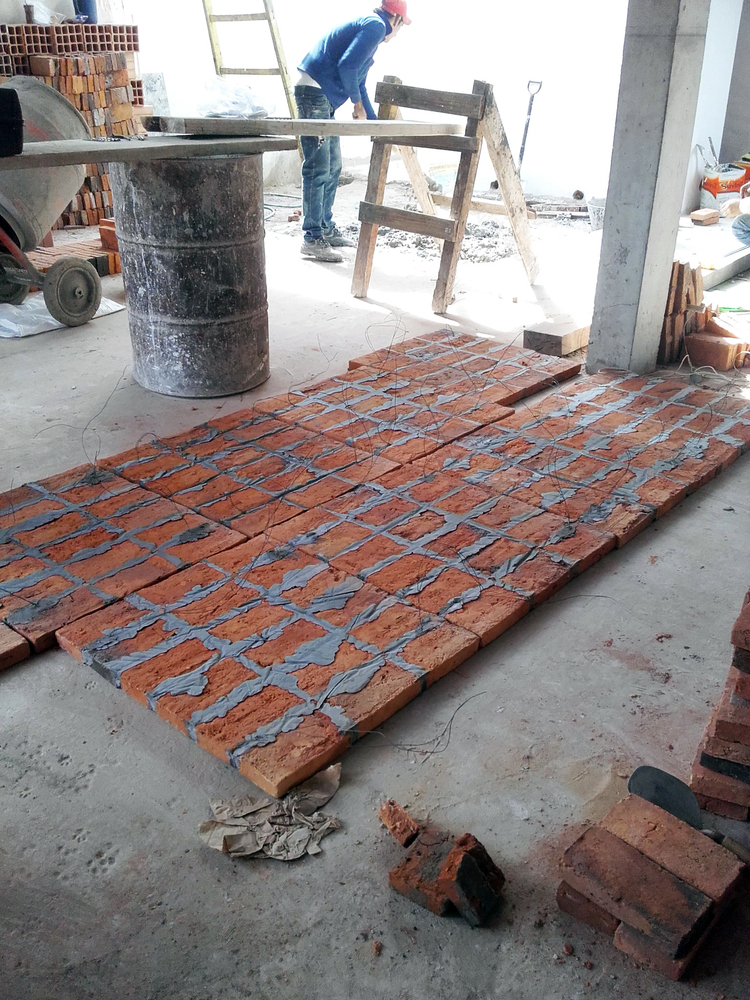 Memoir Medical Clinic Estudio ELGUE-41