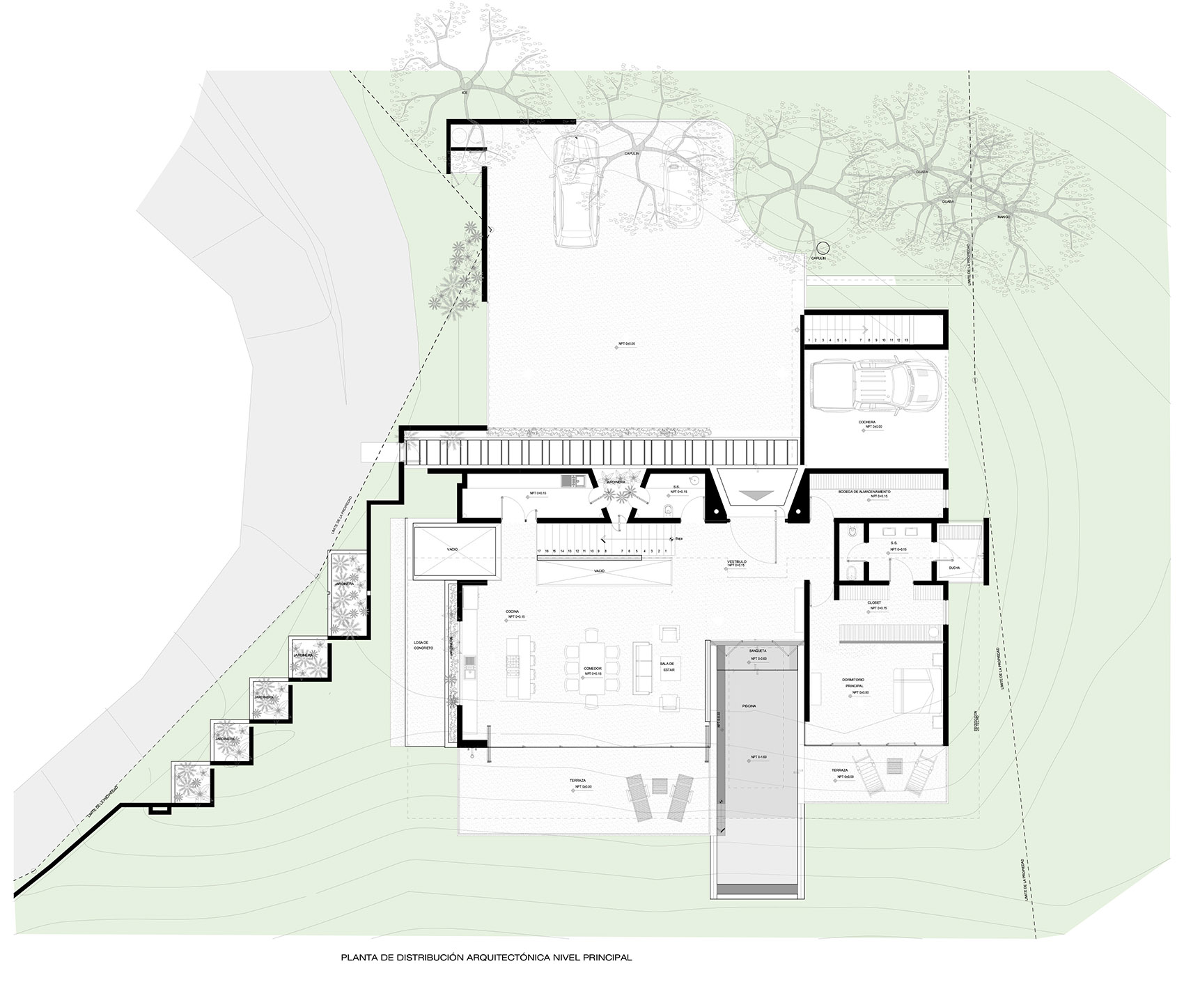 Bell Lloc 之家丨哥斯达黎加丨Studio Saxe-54