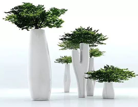 可移动的花园-16