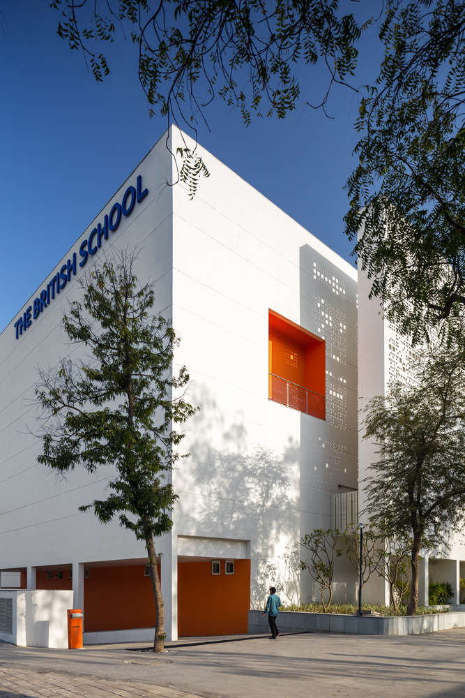 The British School  Morphogenesis-28