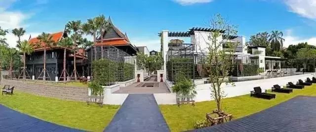 白百合幽会的酒店，我替你睡了-24