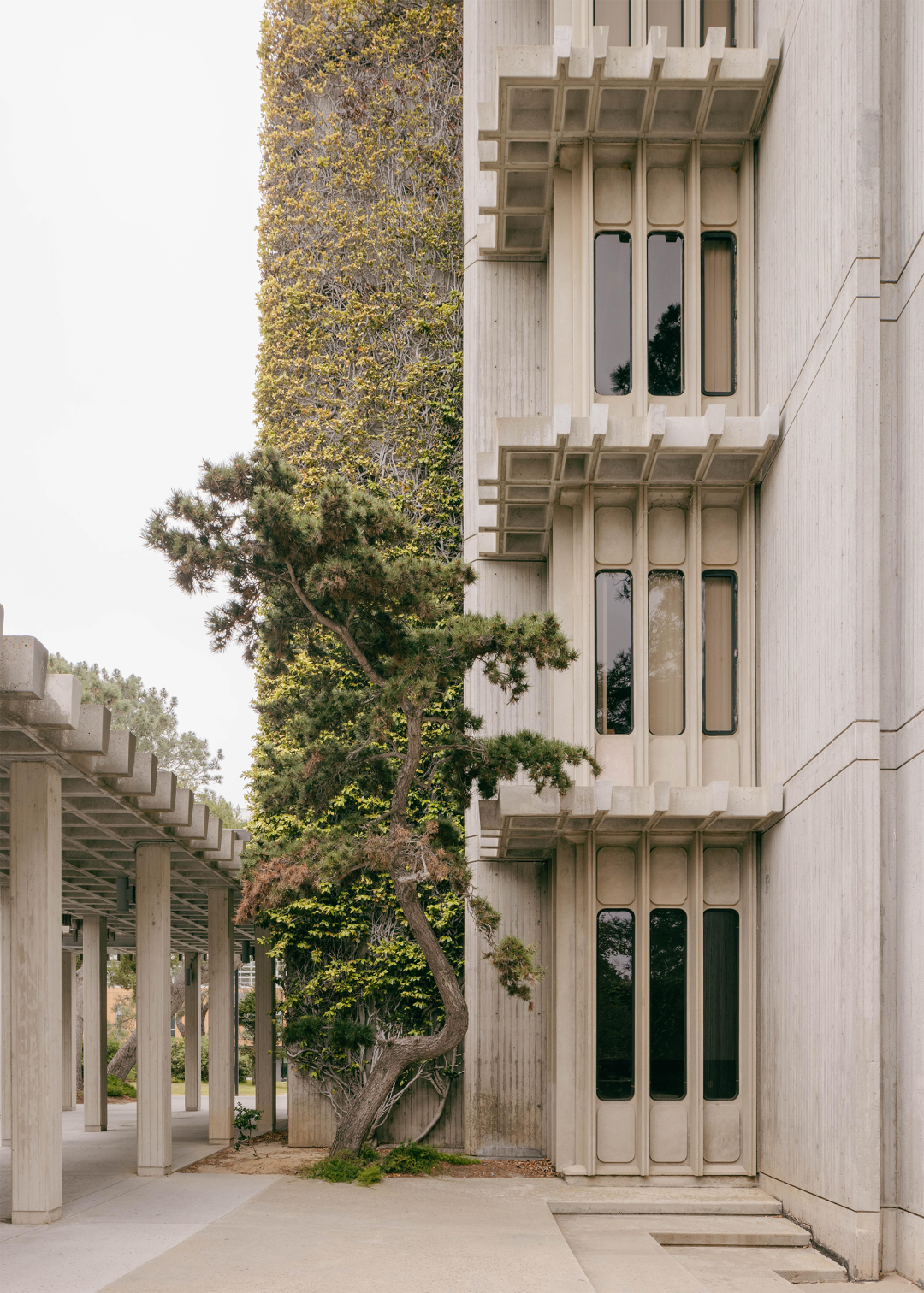 皇家国家剧院丨英国伦敦丨Denys Lasdun-92