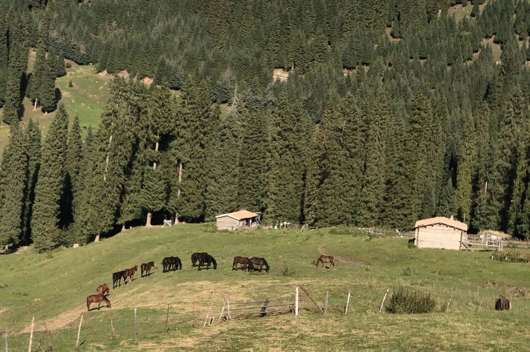 琼库什台宿集丨中国新疆-80
