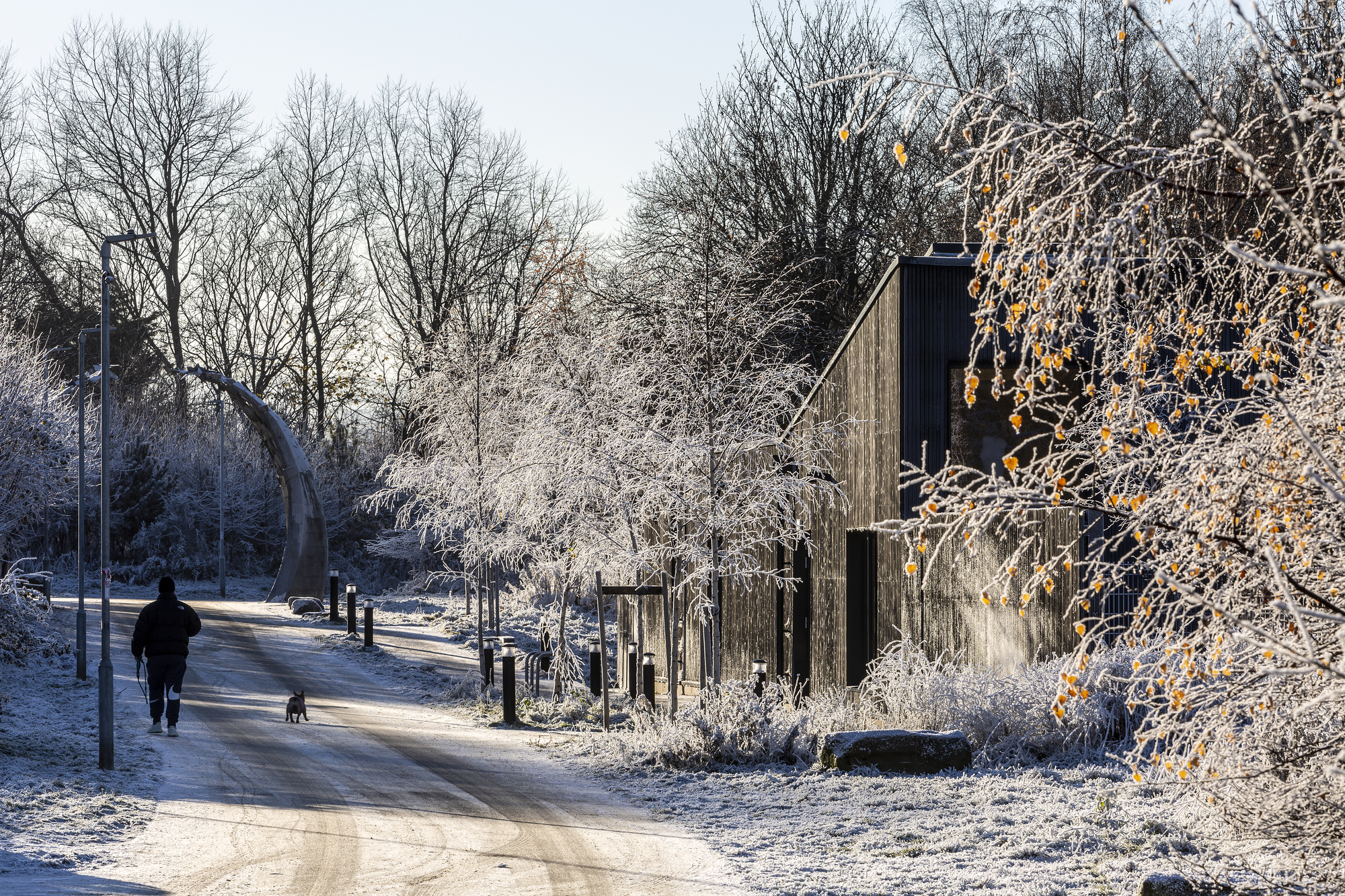 康宁加环的博西和图尔丨英国丨jmarchitects-34