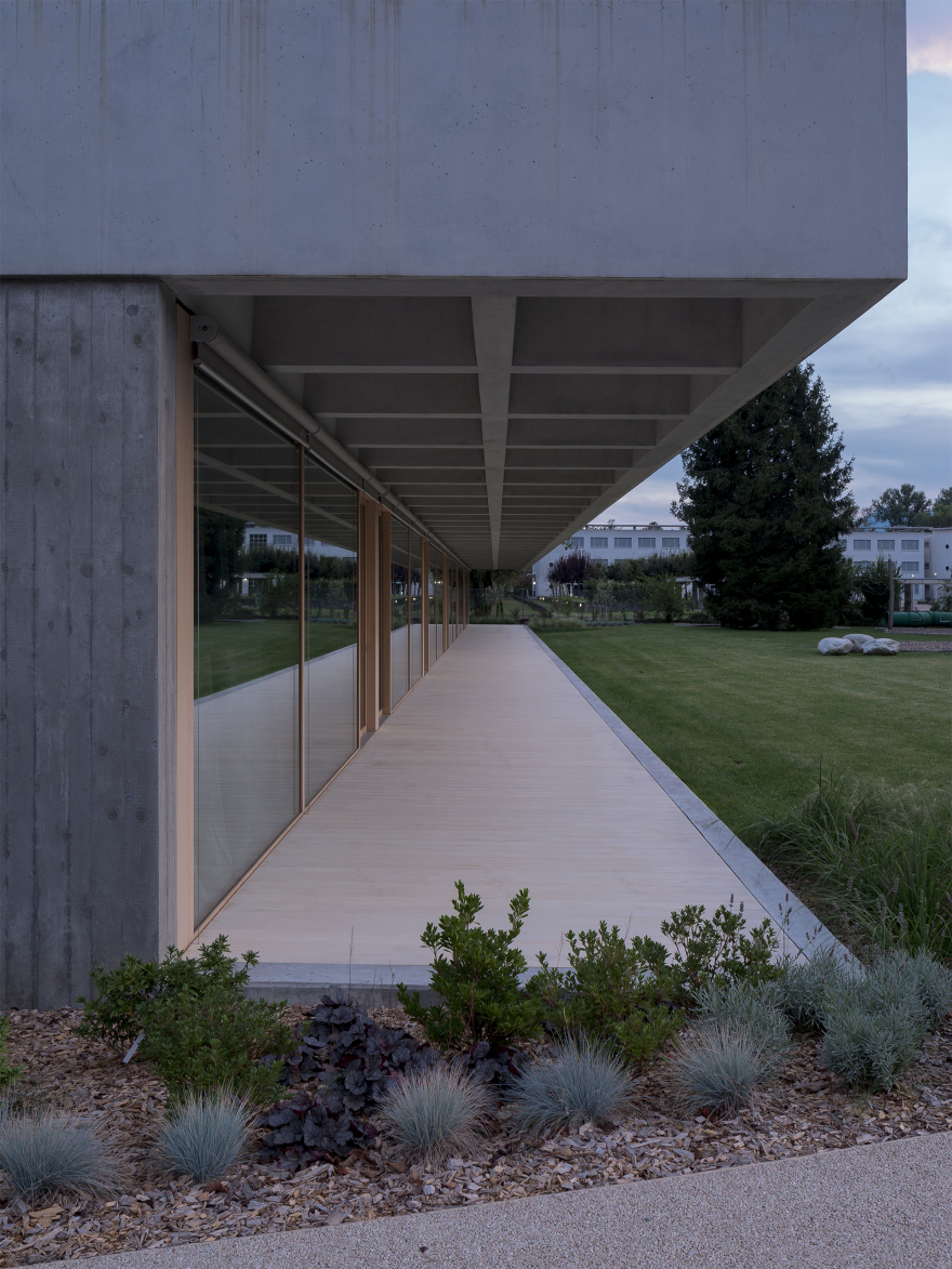 洛迦诺幼儿园丨瑞士丨cappelletti sestito architetti-42