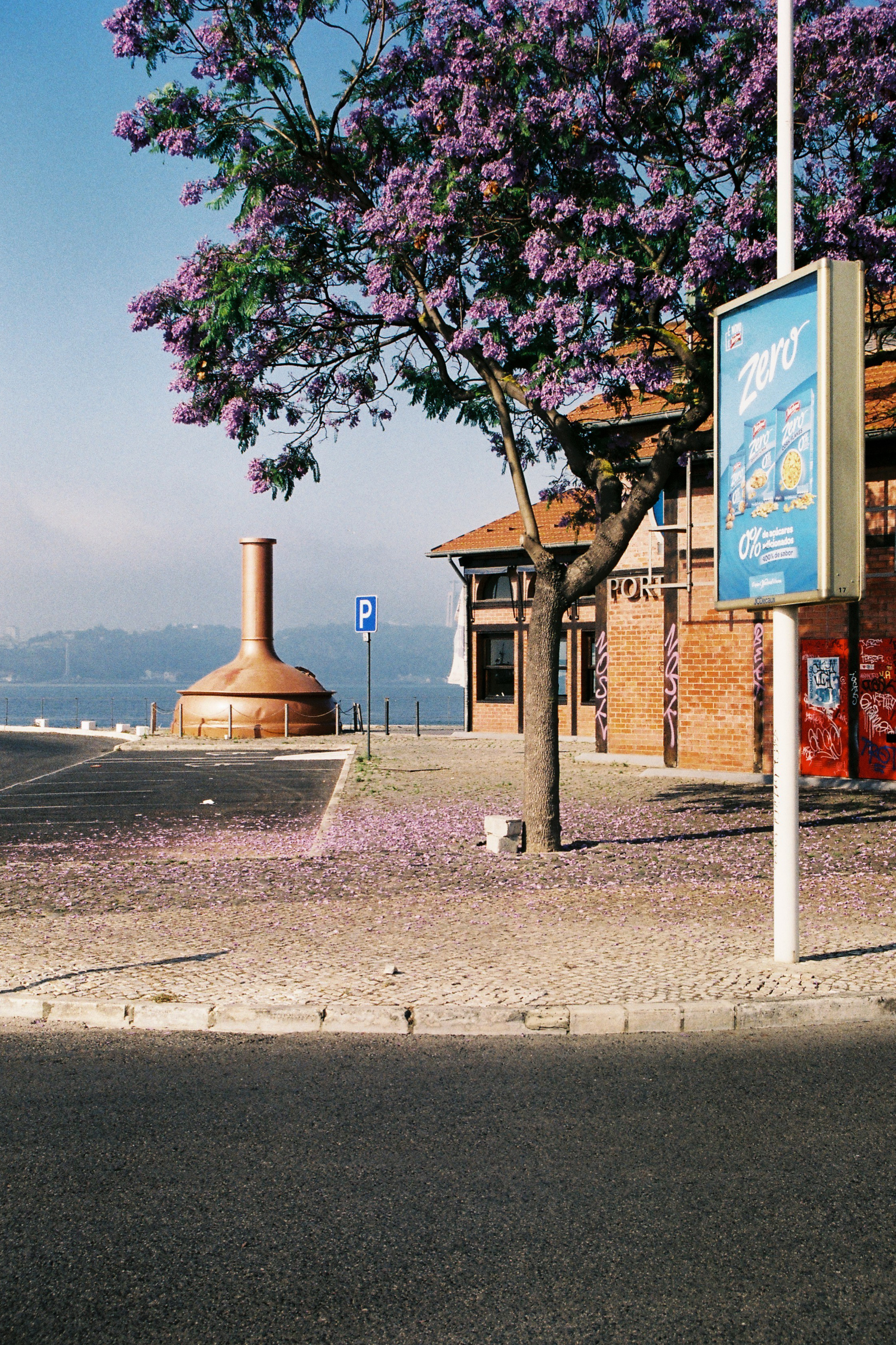 三十五毫米丨talves.pt-6