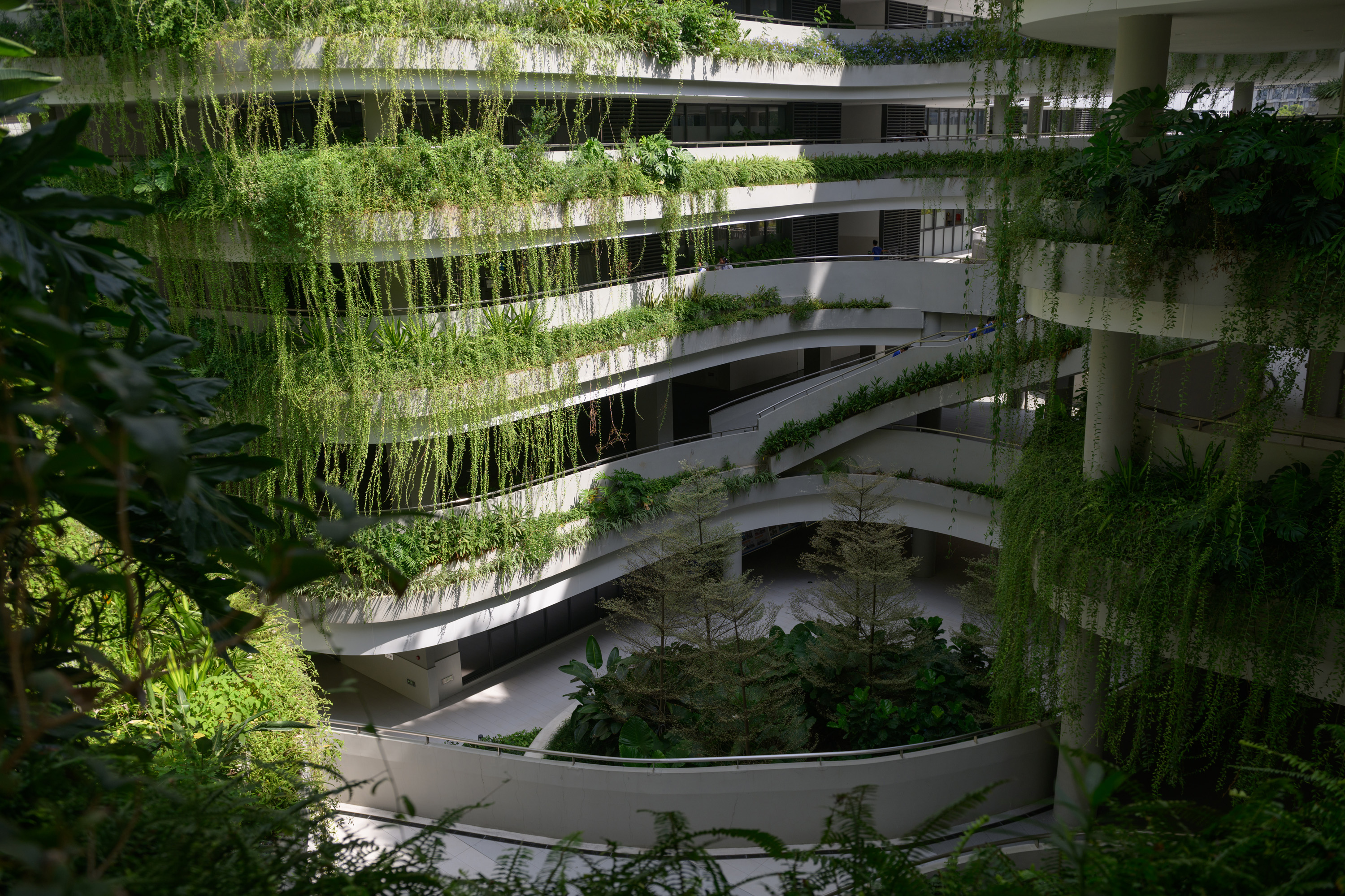 红岭教育集团 华富实验学校丨中国深圳丨大小景观,深圳市建筑设计研究总院有限公司,广州天泓-53