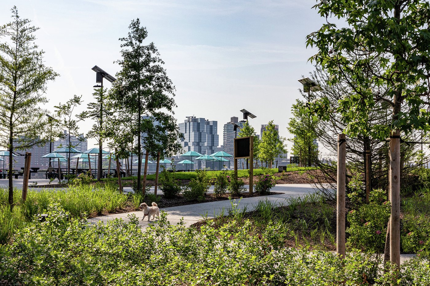 东河公园一期丨United StatesNew York丨MNLA,AKRF + KSE等多家机构-53