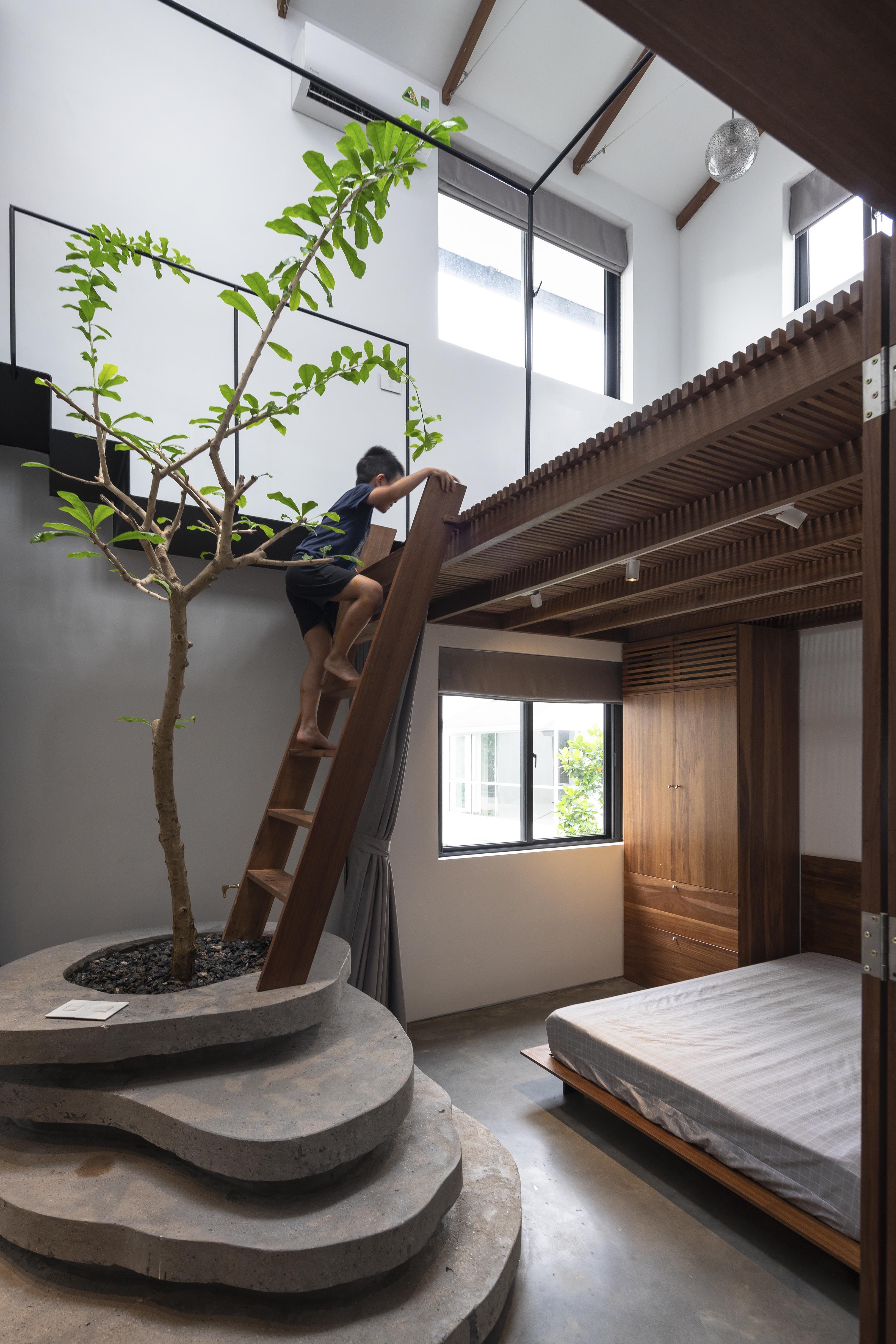 Mimosa 别墅改造-8