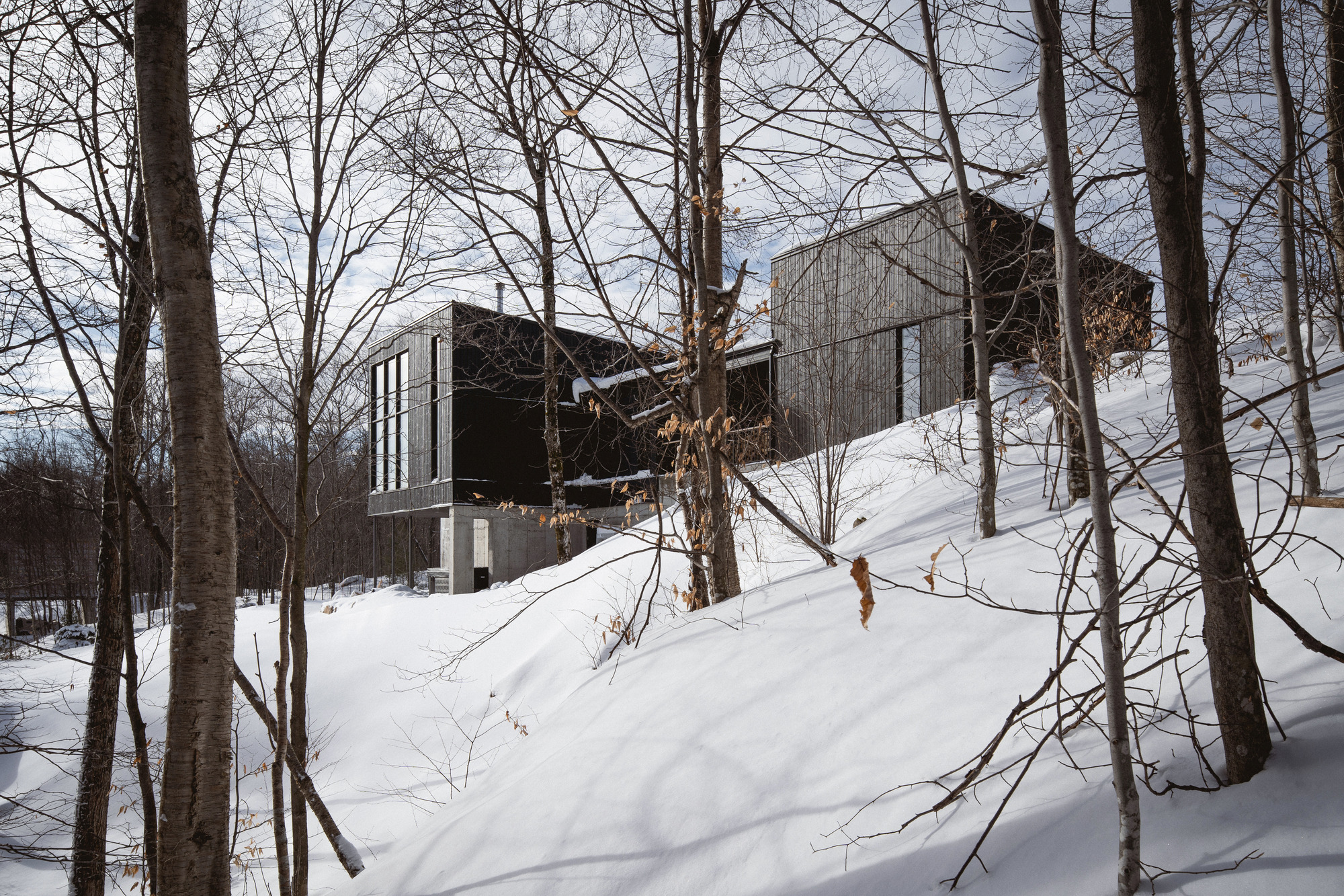 阿利泽公寓丨加拿大魁北克丨Atelier BOOMTOWN-12