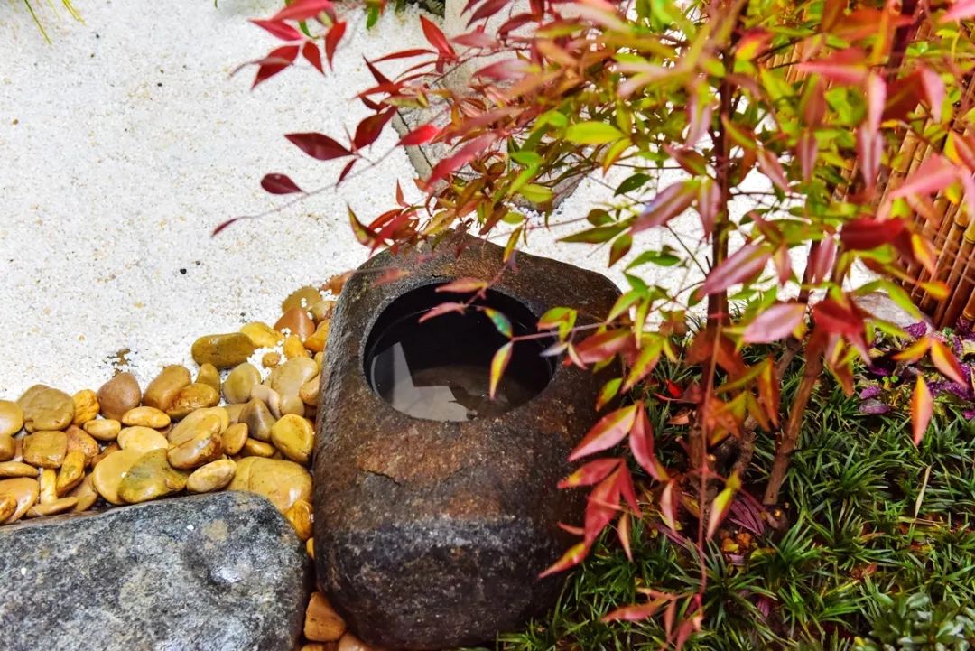 草月流打造禅意花园，呈现桃李春风美景-19