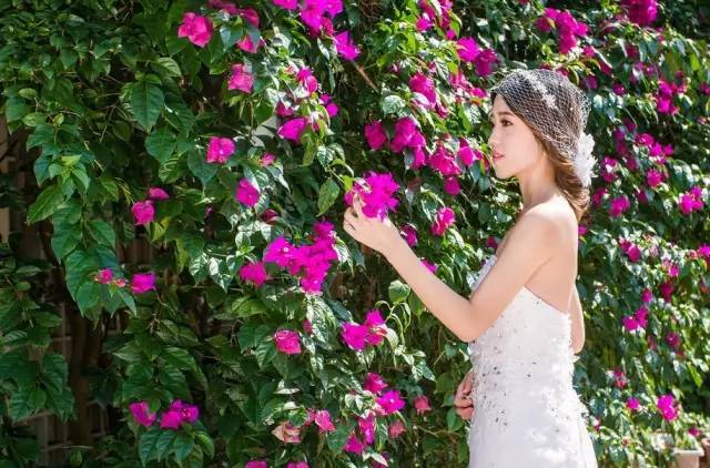 文艺大叔租下8亩林场，花16年种花养草，如今惊艳世人，连美国杂志都给他点赞-205