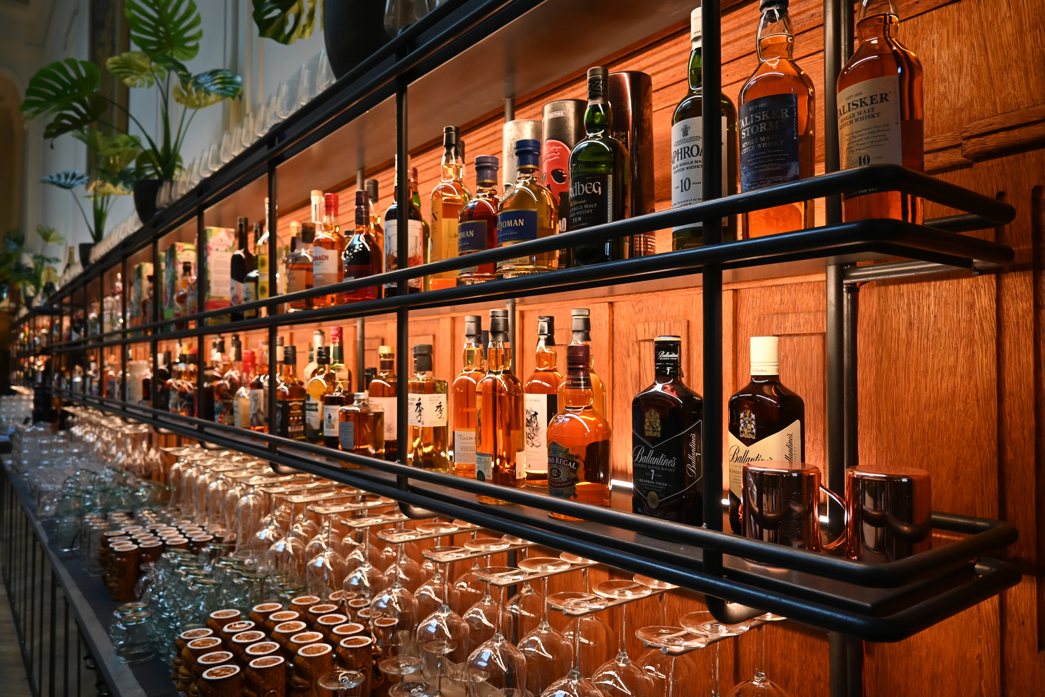 瑞士巴塞尔餐厅 Lora丨Foeldvary Staehelin-17