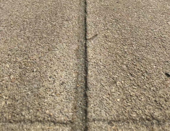 英魂长驻，青山焕新——园林股份修缮皖南事变三烈士墓-23