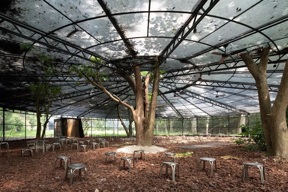 苗栗香格里拉乐园自然教室 | 岩石与银网的生态奇观-59