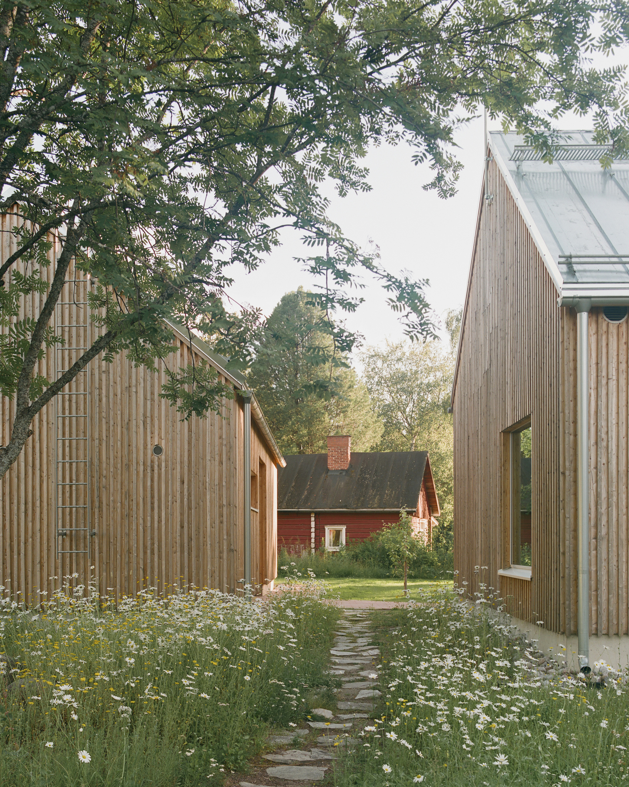 梅里波蒂家族丨芬兰奥卢丨LUO Architects-11