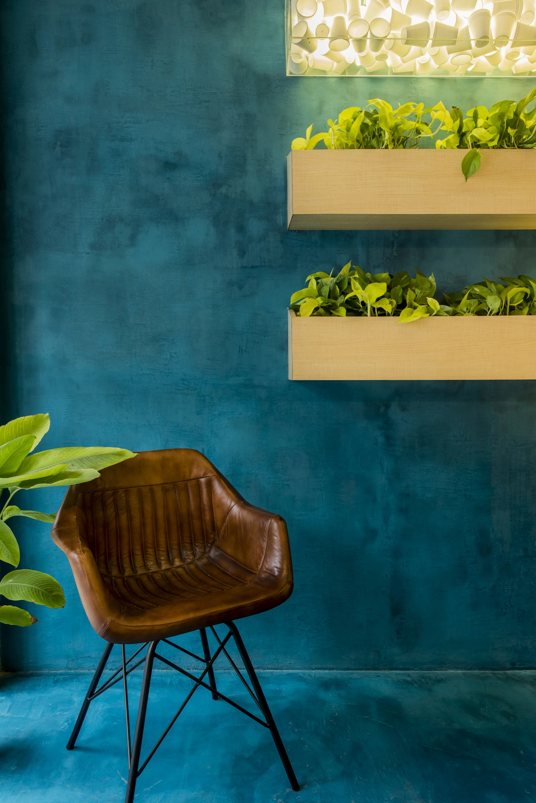 印度 Freshco 健康咖啡馆-38