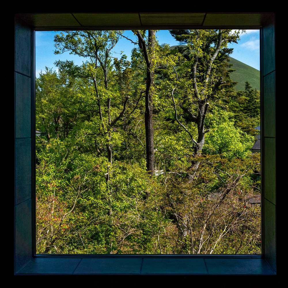 日本伊豆高原 I 住宅丨Florian Busch Architects-31