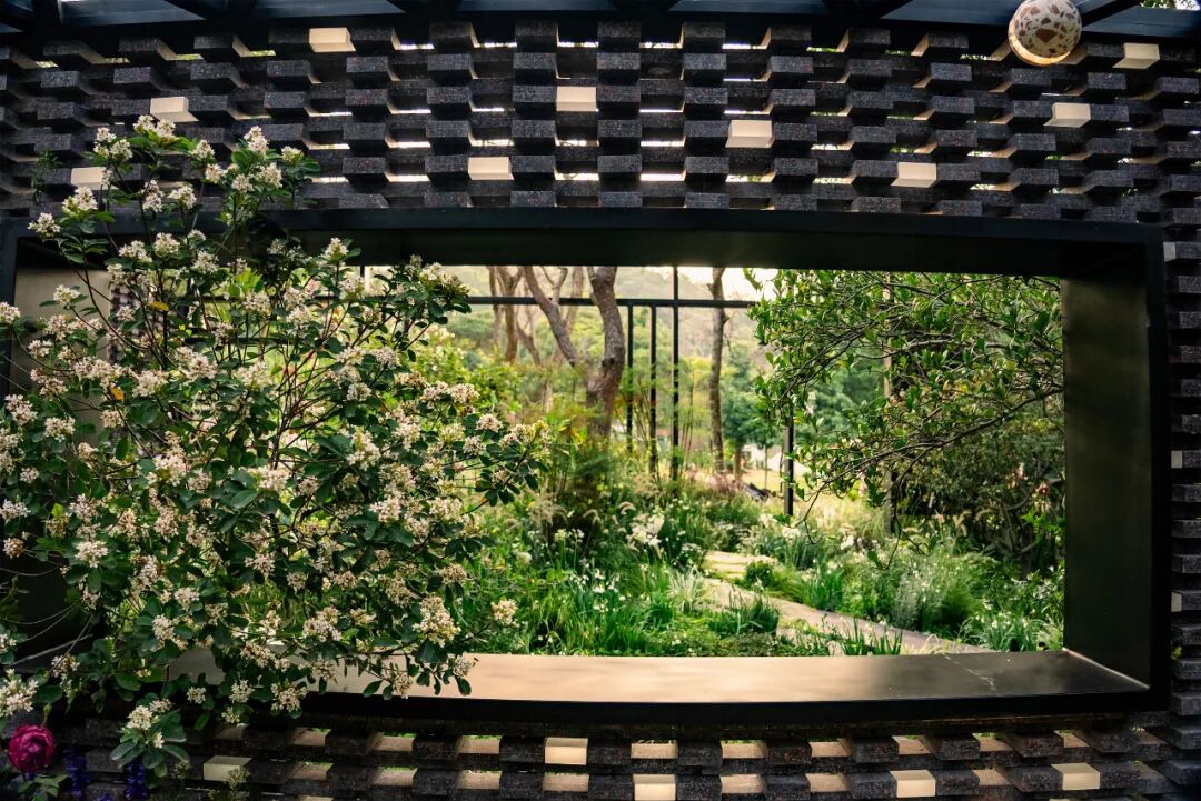 绮云书香|2024粤港澳大湾区花展宝安区城市花园-101