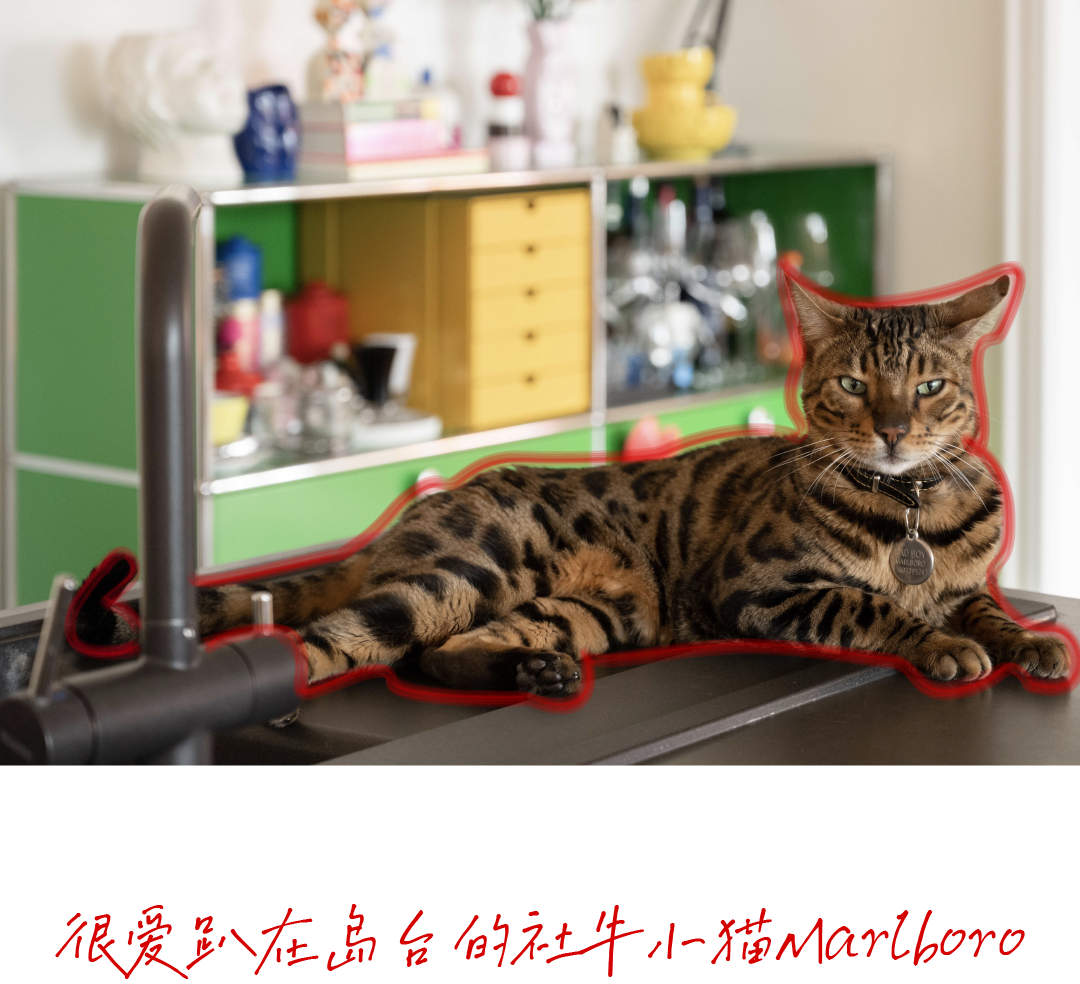 四居改一居 · 重庆妹儿的彩色魔盒之家丨中国重庆丨ZSDC-5