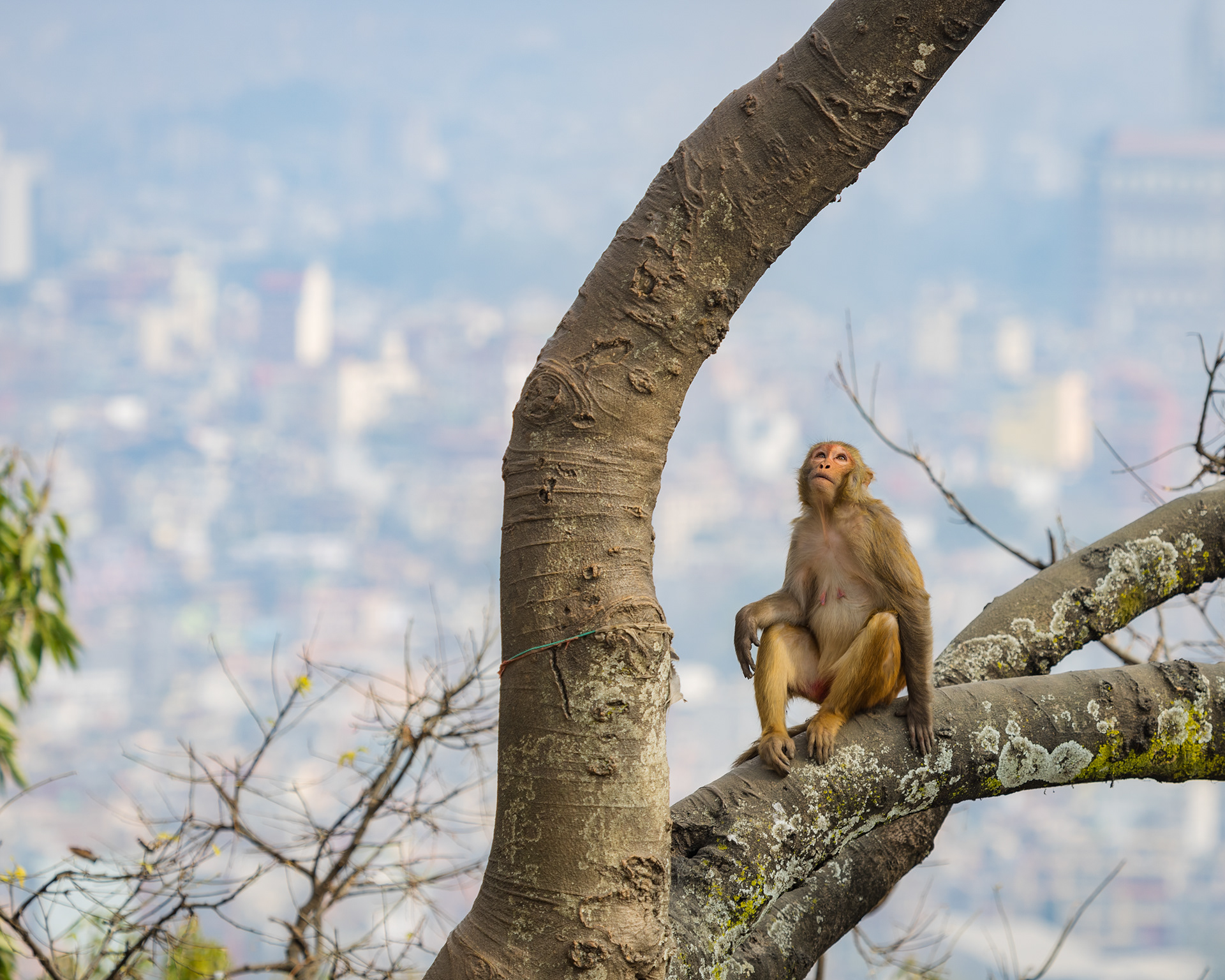 加德满都及周边地区丨尼泊尔丨KIRILL TSYBENKO-29