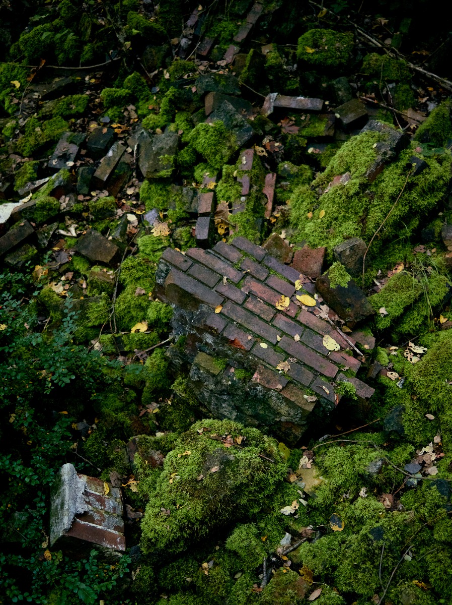 柏林南场地自然公园丨德国柏林-14