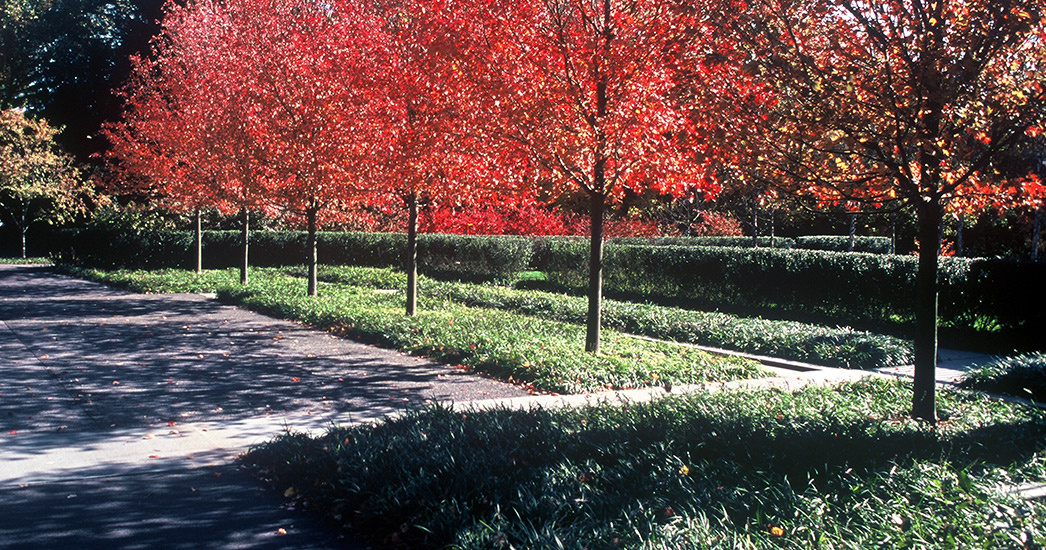 格林威治花园-8