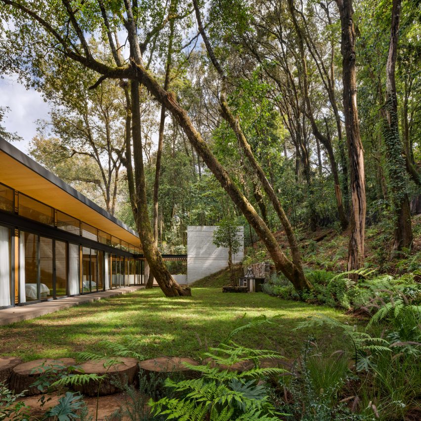 墨西哥森林别墅-10